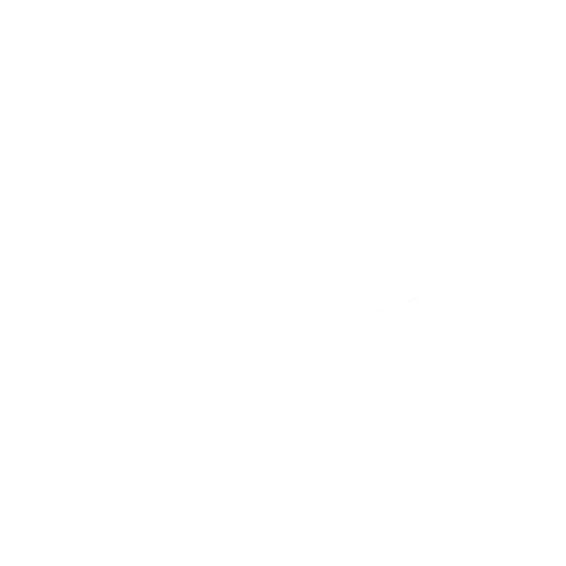 Chicken Soup Studio Logo